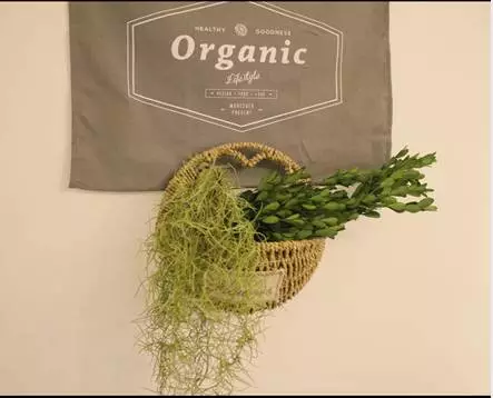 你的家配電箱，所以裝修很漂亮！
